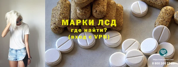 гашик Алексин