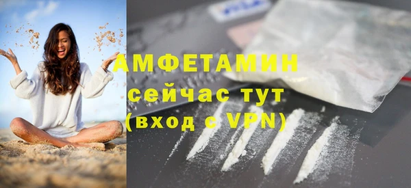 индика Новокубанск