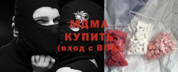 гашик Алексин