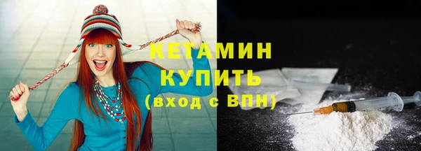 гашик Алексин