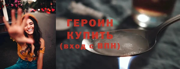 гашик Алексин