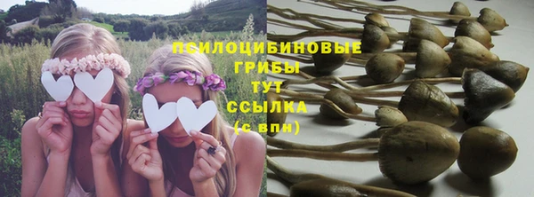 синтетический гашиш Новозыбков