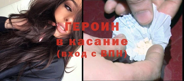 гашик Алексин