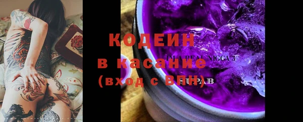 гашик Алексин