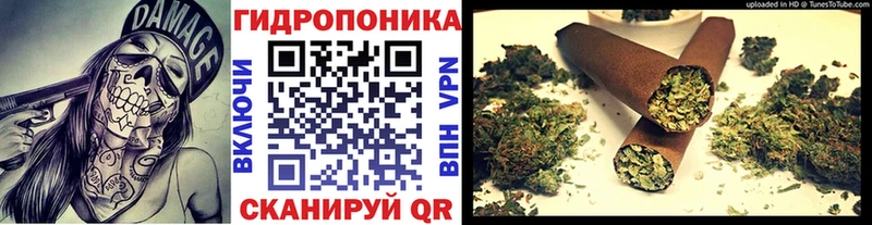 darknet наркотические препараты  купить   Ставрополь  Бошки Шишки ГИДРОПОН 